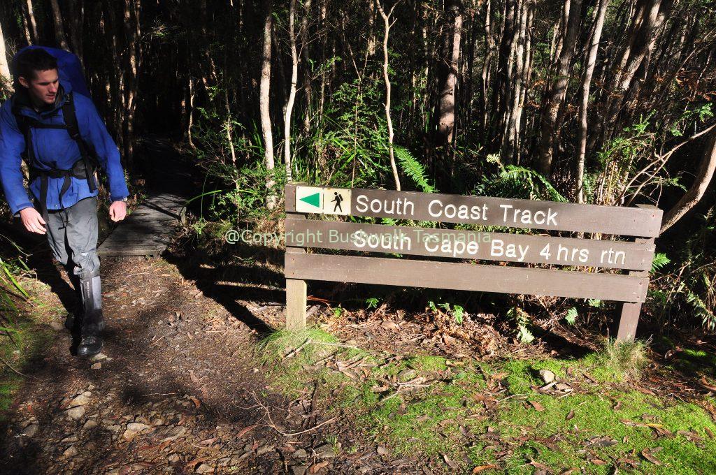south coast track tasmania melaleuca cockle creek